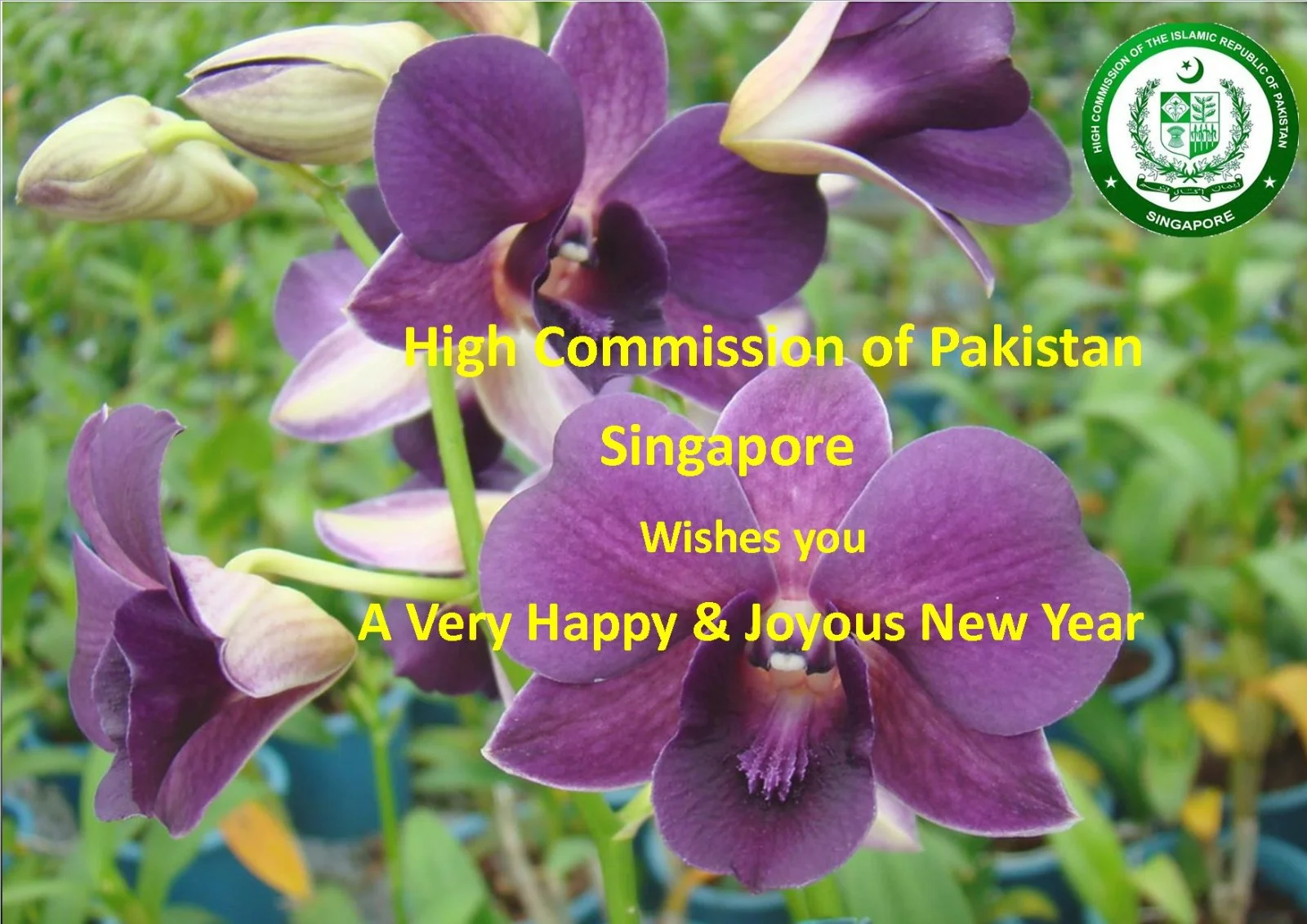 New Year Greetings from High Commission of Pakistan, Singapore!